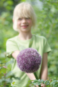 bulb afbeelding