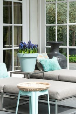 Hyacinth bloembollen in pot bij loungeset tuin 