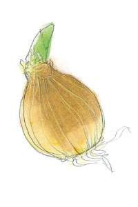 bulb afbeelding