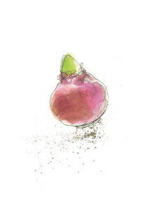 bulb afbeelding