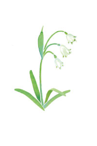 bulb afbeelding