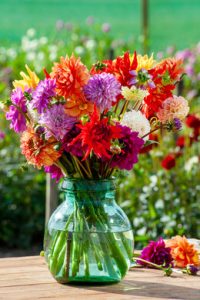 a vase of colorful flowers